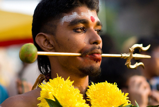 Thaipusam festival 